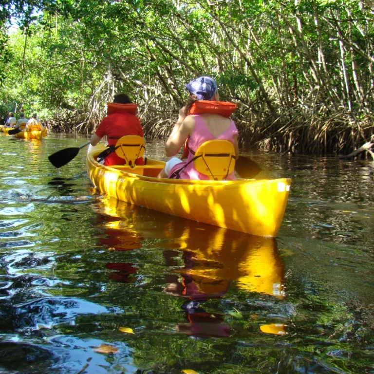 Canoeing down the Blackwater River goes through one of the largest mangrove forests in the world. Photo 4