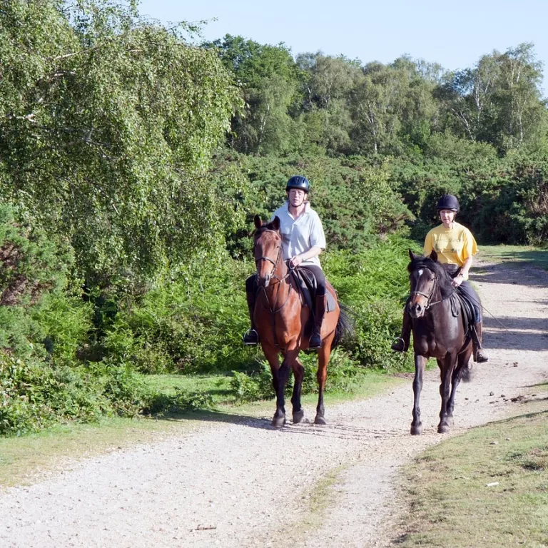 Horseback Riding Rentals Photo 2