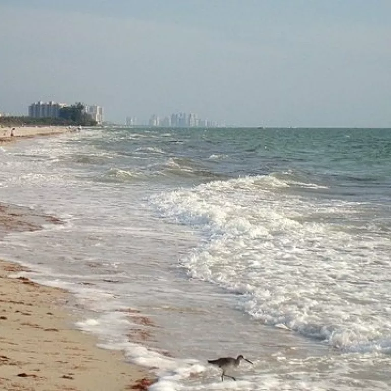 Barefoot Beach Access Photo