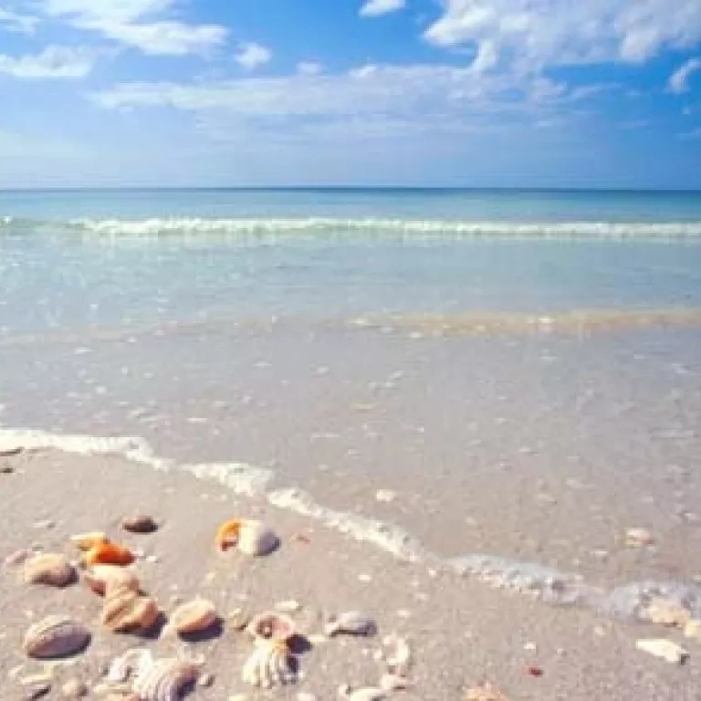 Marco Island Boat Tours Photo