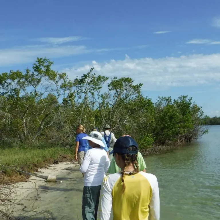 Teachers on the Estuary (TOTE) Workshop at Rookery Bay Environmental Learning Center Photo