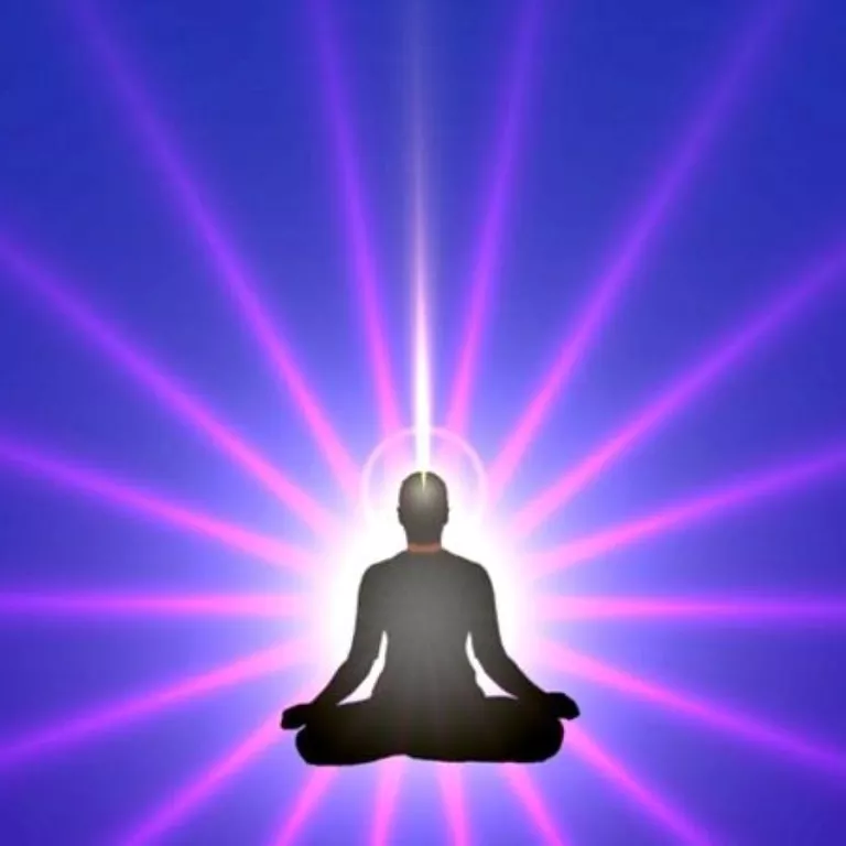 Health & Wellness Sanctuary of SW Florida Photo