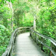 Nature_Trail_2.jpg