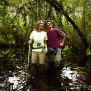 Swamp_Walkers.jpg