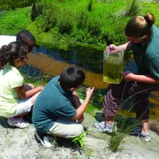 Water_Quality_Class.jpg