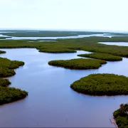 cct_0284_emerging_everglades_8_seconds_v1.jpg