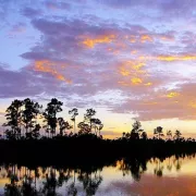 Sunset over Everglades National Park