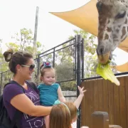Explore Naples with kids at the zoo.