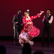 Flamenco dancer in red and white polka dot dress