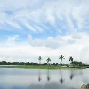 Colf courses in Naples, FL.