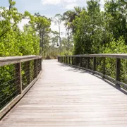 Find your wellness retreat in Naples and San Marco