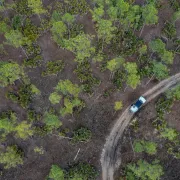 Aerial view of car driving through the forest
