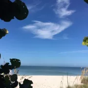 Beach view in Paradise