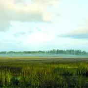 listing-1219-Everglades_Vista.jpg