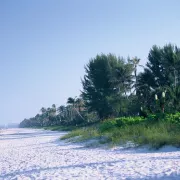 listing-1368-Naples Beach.JPG