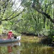 listing-641-canoeflamingoanddolce 058.jpg