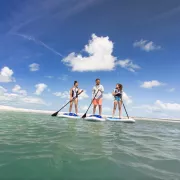 A family goes paddle boarding in the ocean.