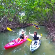 Marco Island Paddle