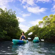 Ten Thousand Islands Kayaking