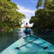 Kayaking Ten Thousand Islands