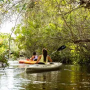 Big Cypress National Preserve Trail Kayaking