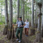 Big Cypress National Preserve