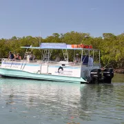 Dolphin Explorer