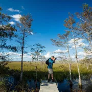 Everglades