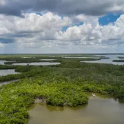 Everglades