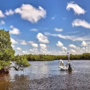 The Ultimate Itinerary For Anglers In Naples, Marco Island And The Everglades
