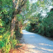 Janes Scenic Drive