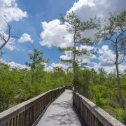 Kirby Stroter Roadside Park