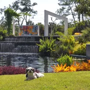 Naples Botanical Garden