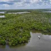 Ten Thousand Island Fly Fishing