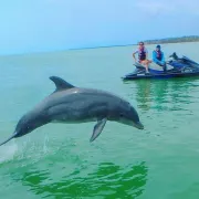 Avi's Watersports Photo