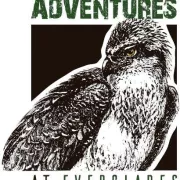 Everglades Florida Adventures Photo