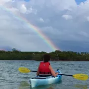 Paradise Coast Kayak Tours Photo