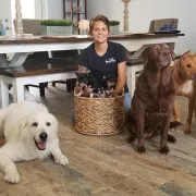 Pampered Pet Resorts Photo