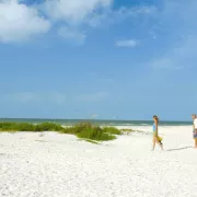 Explore the wide stretches of nearly deserted white sand beach on Keewaydin Island. Photo