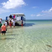 Calusa Spirit Dolphin Cruise Photo