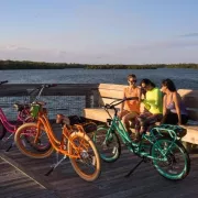 Pedego Electric Bikes North Photo