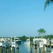 Wiggins Pass Marina Photo