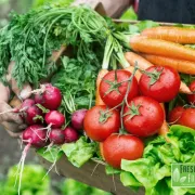 Fresh Fit Foods Photo