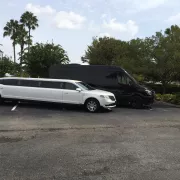 Go Platinum Transportation, LLC Photo