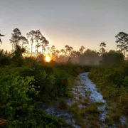 Nancy Payton Preserve Photo