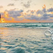 A Beautiful Florida Wedding Photo