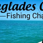 Everglades City Fishing Charters Photo