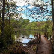 Everglades Bicycle Tours Photo
