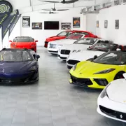 Cloud 9 Exotics Photo