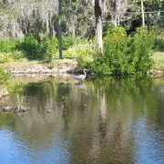 Naples Zoo at Caribbean Gardens Photo